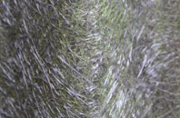 Thimble End fibreglass roof work